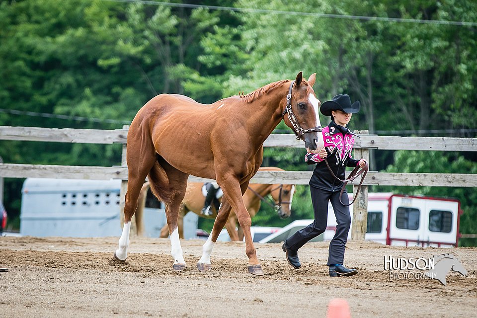 4H-FUN-060615-0240.jpg