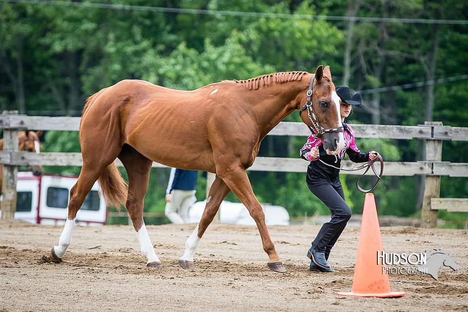 4H-FUN-060615-0242.jpg