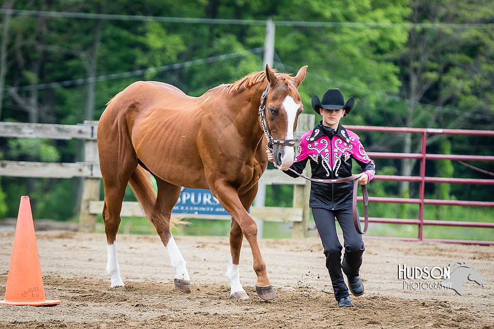 4H-FUN-060615-0243.jpg