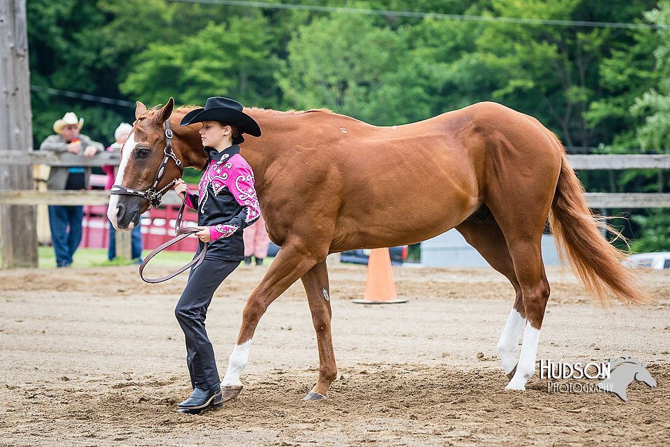 4H-FUN-060615-0247.jpg