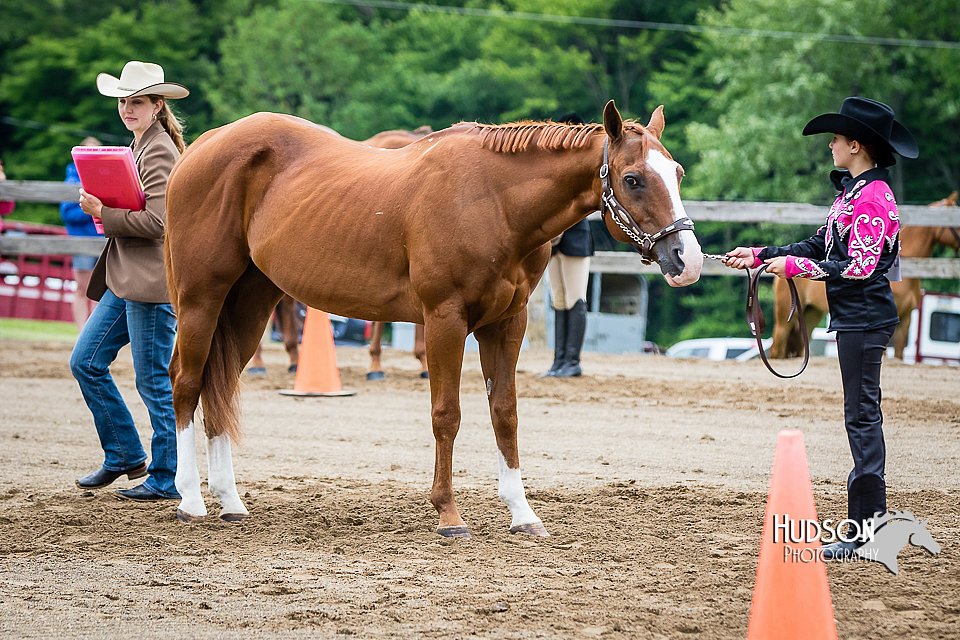 4H-FUN-060615-0248.jpg