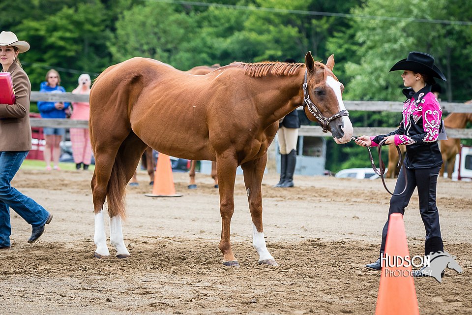 4H-FUN-060615-0249.jpg