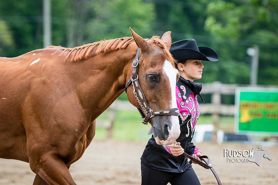 4H-FUN-060615-0251.jpg