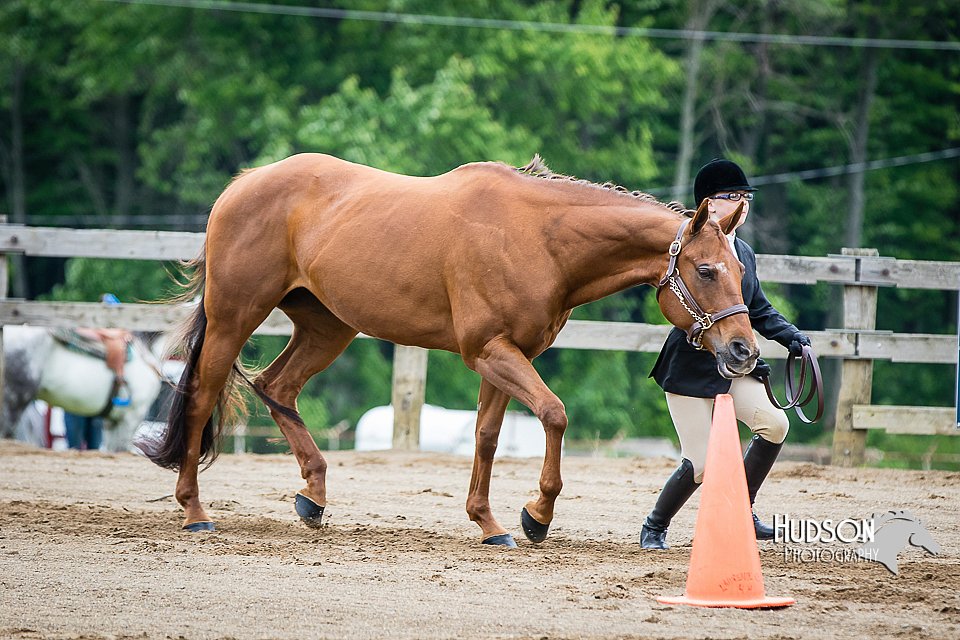 4H-FUN-060615-0252.jpg