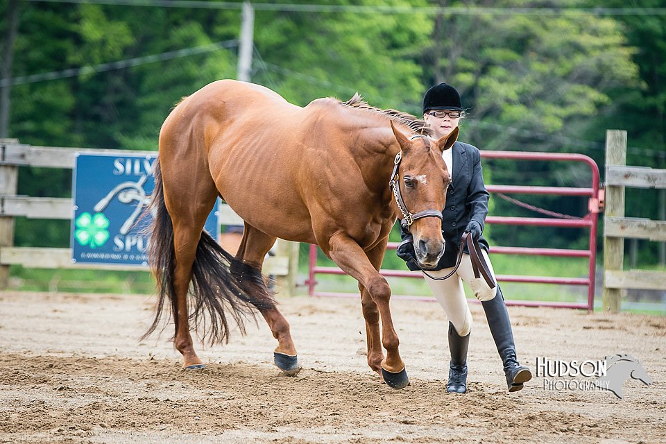 4H-FUN-060615-0254.jpg