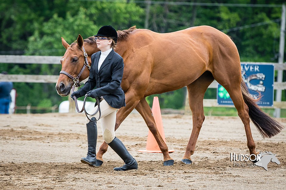 4H-FUN-060615-0256.jpg