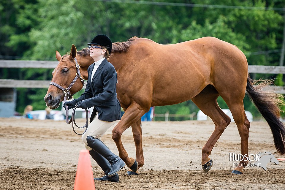 4H-FUN-060615-0257.jpg