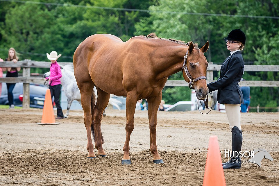 4H-FUN-060615-0258.jpg