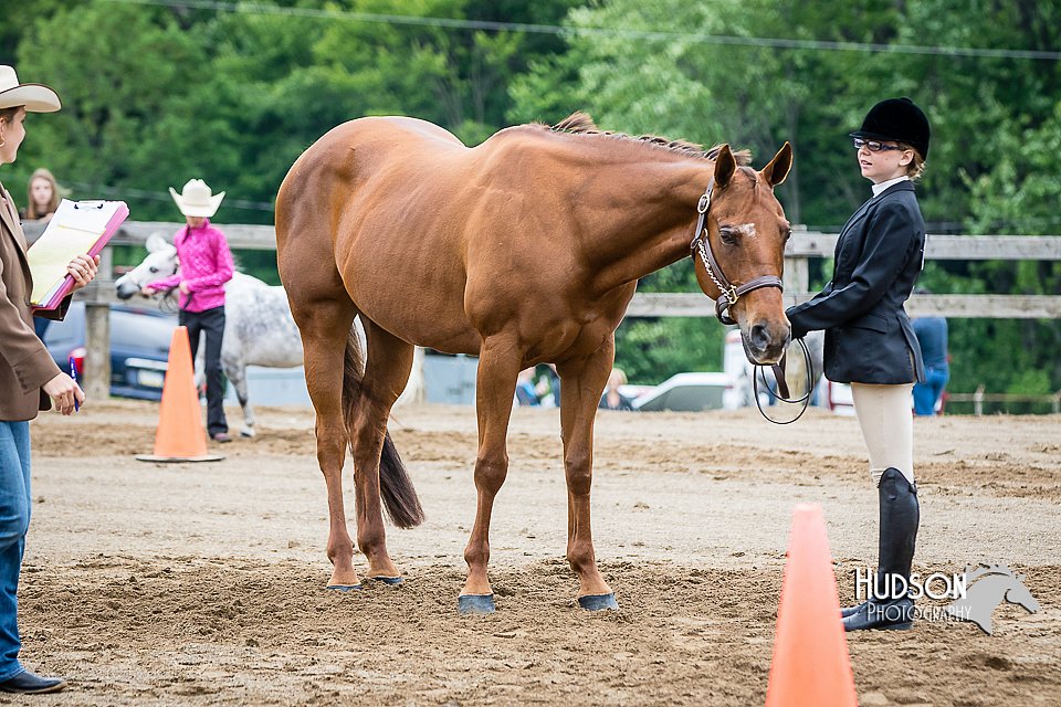 4H-FUN-060615-0259.jpg