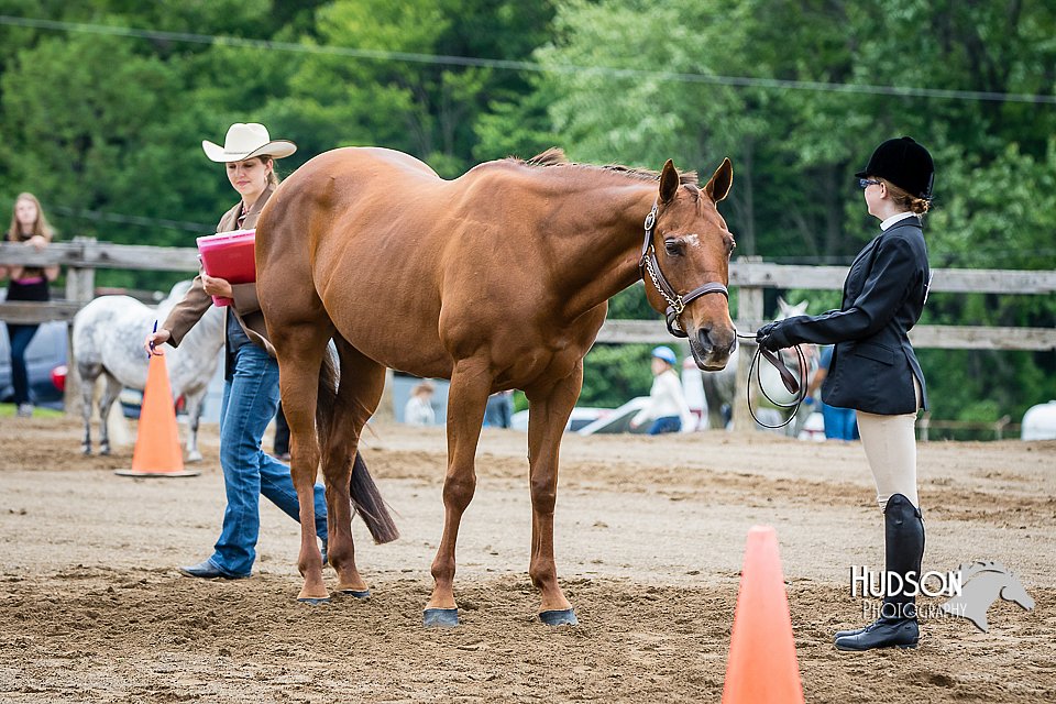 4H-FUN-060615-0260.jpg