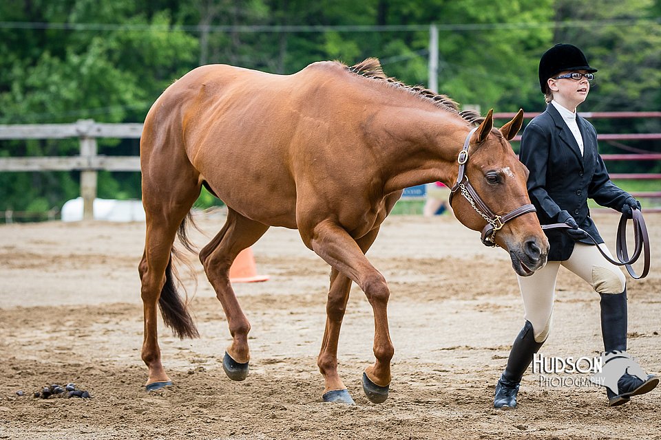4H-FUN-060615-0263.jpg