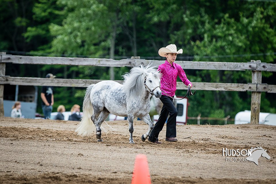 4H-FUN-060615-0266.jpg