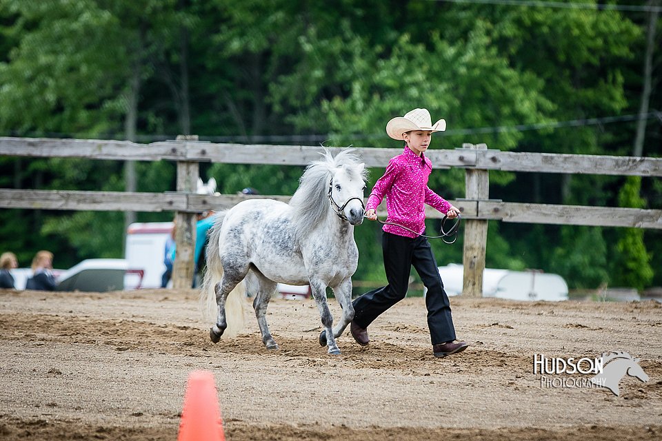 4H-FUN-060615-0267.jpg