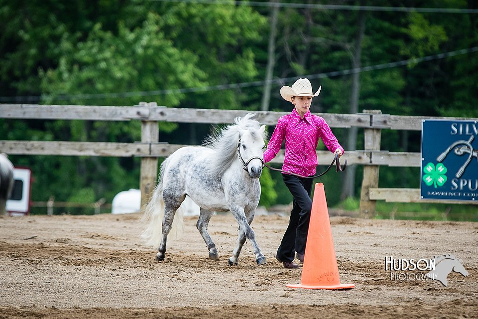 4H-FUN-060615-0269.jpg