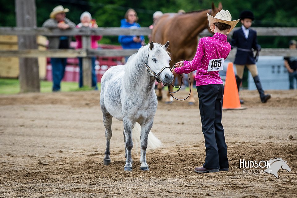 4H-FUN-060615-0274.jpg