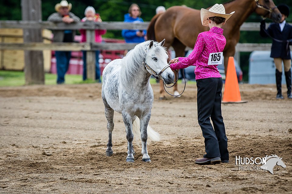 4H-FUN-060615-0275.jpg