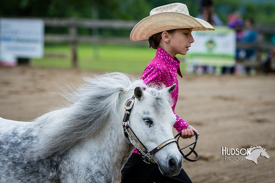 4H-FUN-060615-0280.jpg