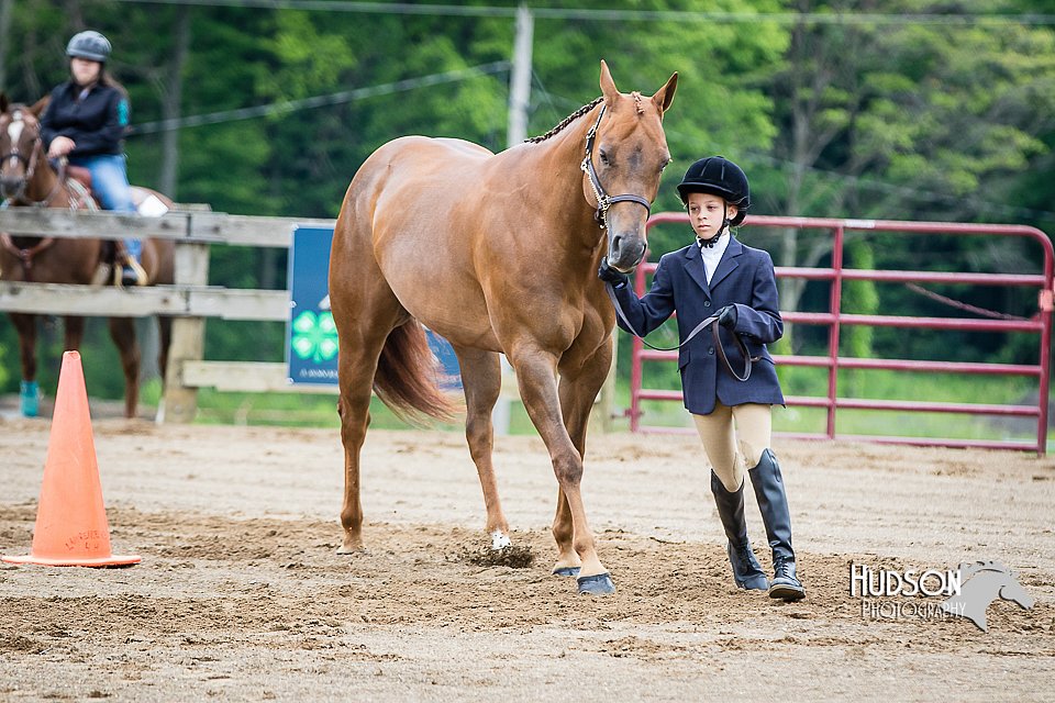 4H-FUN-060615-0281.jpg