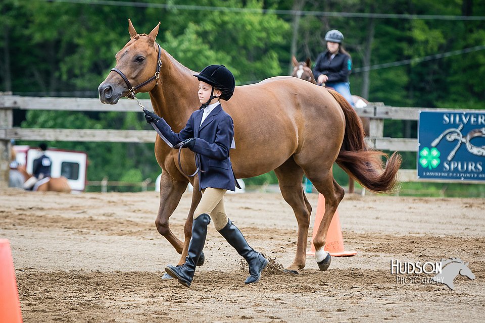 4H-FUN-060615-0283.jpg