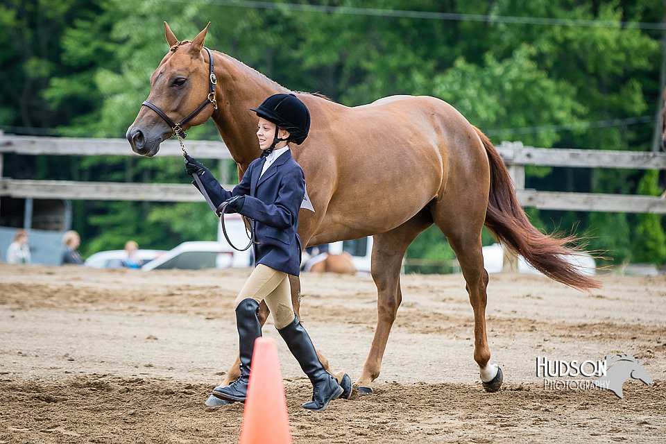 4H-FUN-060615-0284.jpg