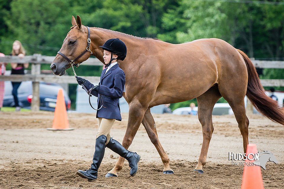 4H-FUN-060615-0285.jpg