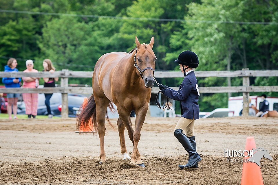 4H-FUN-060615-0286.jpg