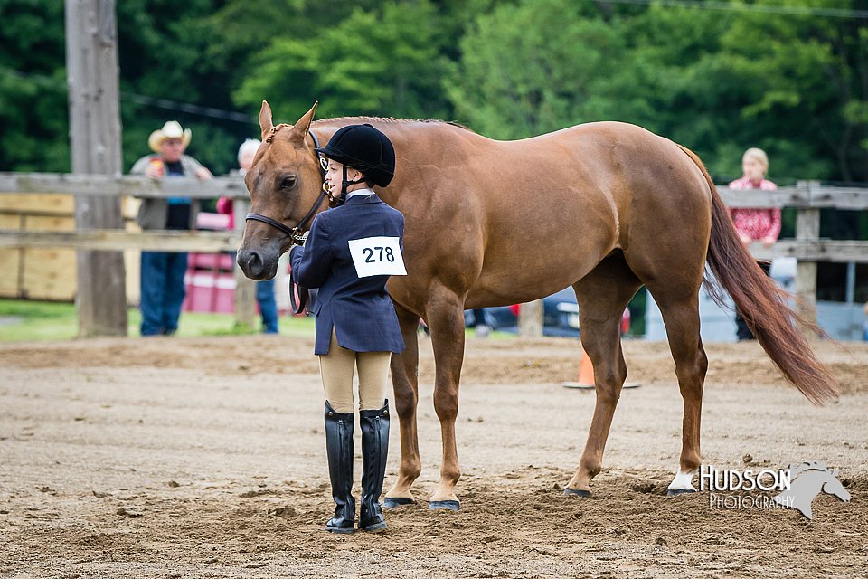 4H-FUN-060615-0287.jpg