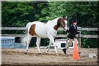 4H-FUN-060615-0175.jpg