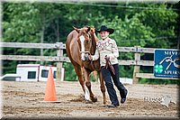 4H-FUN-060615-0201.jpg