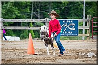 4H-FUN-060615-0209.jpg