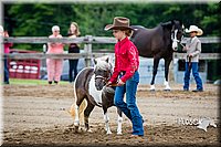4H-FUN-060615-0213.jpg
