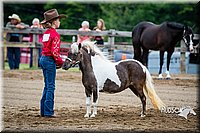 4H-FUN-060615-0215.jpg
