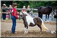 4H-FUN-060615-0216.jpg