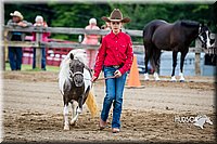 4H-FUN-060615-0218.jpg