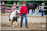 4H-FUN-060615-0219.jpg