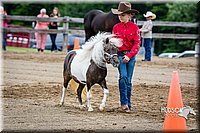 4H-FUN-060615-0220.jpg