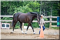 4H-FUN-060615-0224.jpg