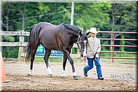 4H-FUN-060615-0225.jpg