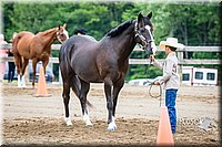 4H-FUN-060615-0230.jpg