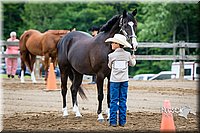 4H-FUN-060615-0231.jpg