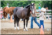 4H-FUN-060615-0233.jpg