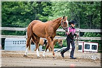 4H-FUN-060615-0240.jpg
