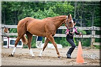 4H-FUN-060615-0242.jpg