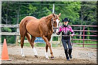 4H-FUN-060615-0243.jpg