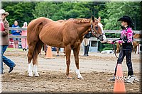 4H-FUN-060615-0249.jpg