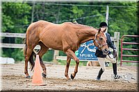 4H-FUN-060615-0253.jpg