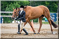 4H-FUN-060615-0256.jpg