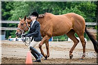 4H-FUN-060615-0257.jpg