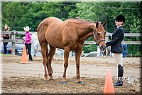 4H-FUN-060615-0258.jpg