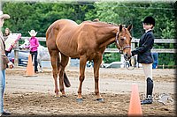 4H-FUN-060615-0259.jpg